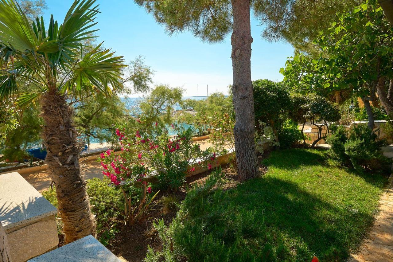Holiday Park Mandrice Mandre Extérieur photo